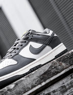 Nike Dunk Low Next Nature Smoke Grey FZ4621-001 煙灰 奶油底 輕量 環保材質