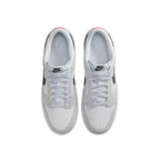 Nike Dunk Low FJ4227-001 灰白藍