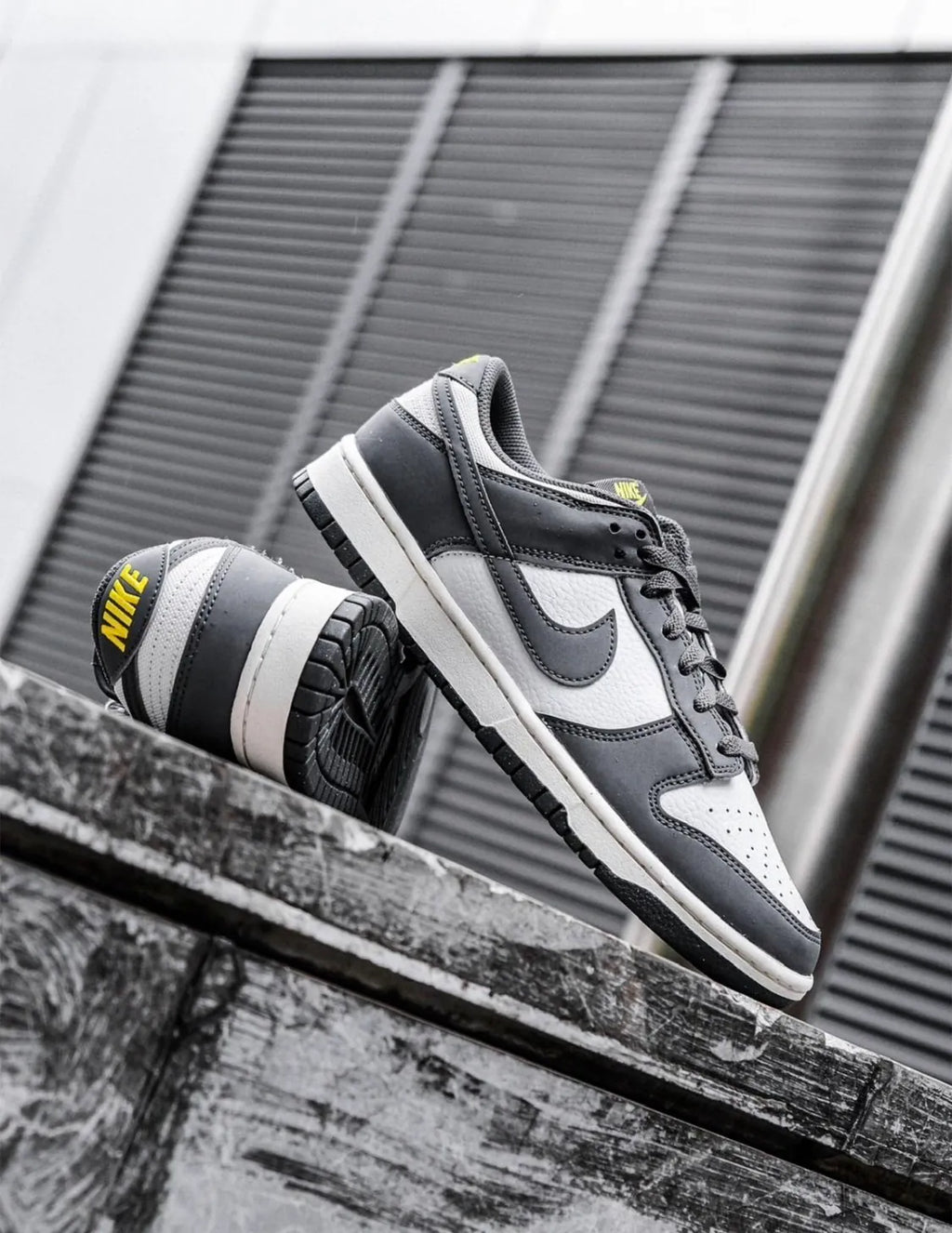 Nike Dunk Low Next Nature Smoke Grey FZ4621-001 煙灰 奶油底 輕量 環保材質