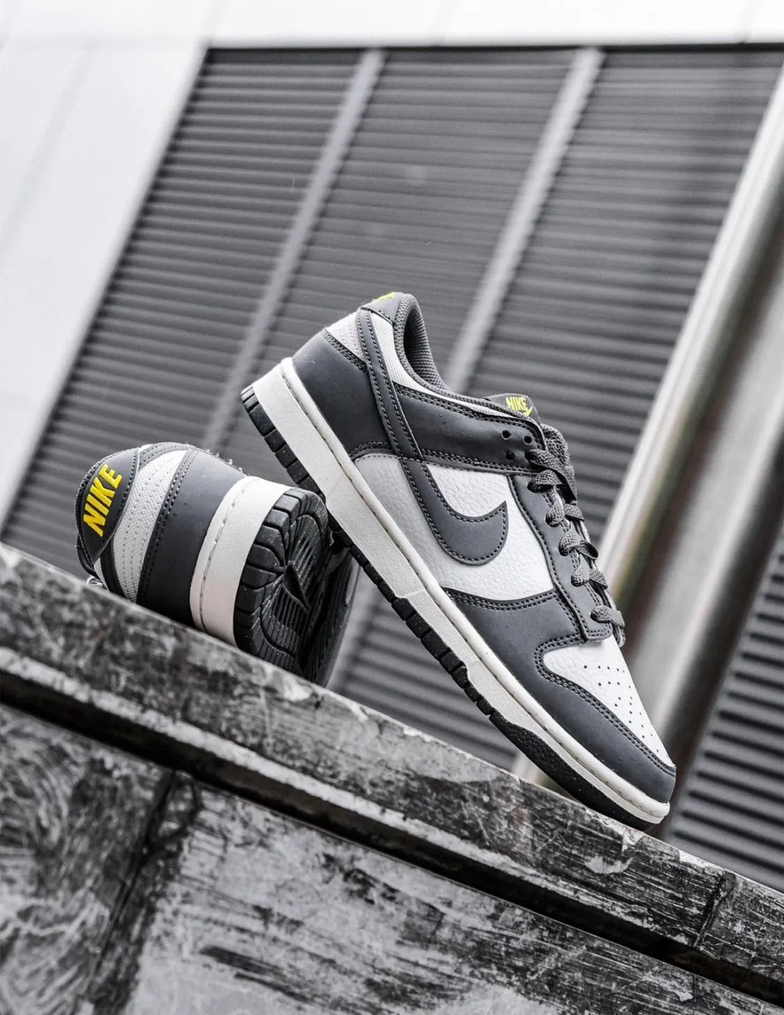 Nike Dunk Low Next Nature Smoke Grey FZ4621-001 煙灰 奶油底 輕量 環保材質