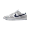 Nike Dunk Low FJ4227-001 灰白藍