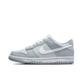 Nike Dunk Low GS DH9765-001 酷灰 女款