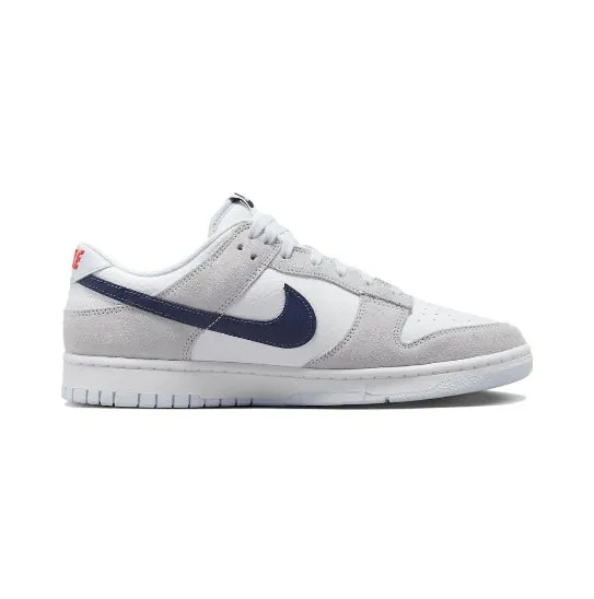 Nike Dunk Low FJ4227-001 灰白藍