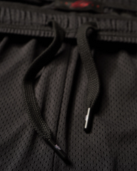 INVICTUS RADICAL MESH ATHLETIC SHORTS / 爪痕網眼球褲 — 5