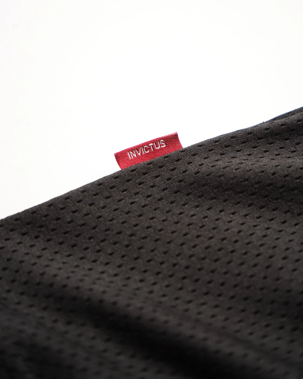 INVICTUS RADICAL MESH ATHLETIC SHORTS / 爪痕網眼球褲
