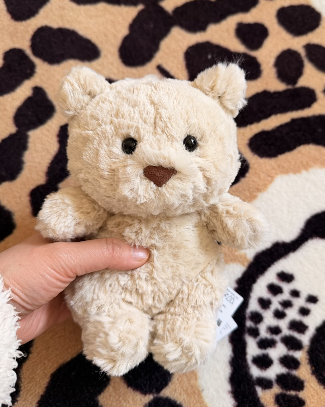 JELLYCAT 小巴塞羅熊 小熊崽 毛絨娃娃 17cm