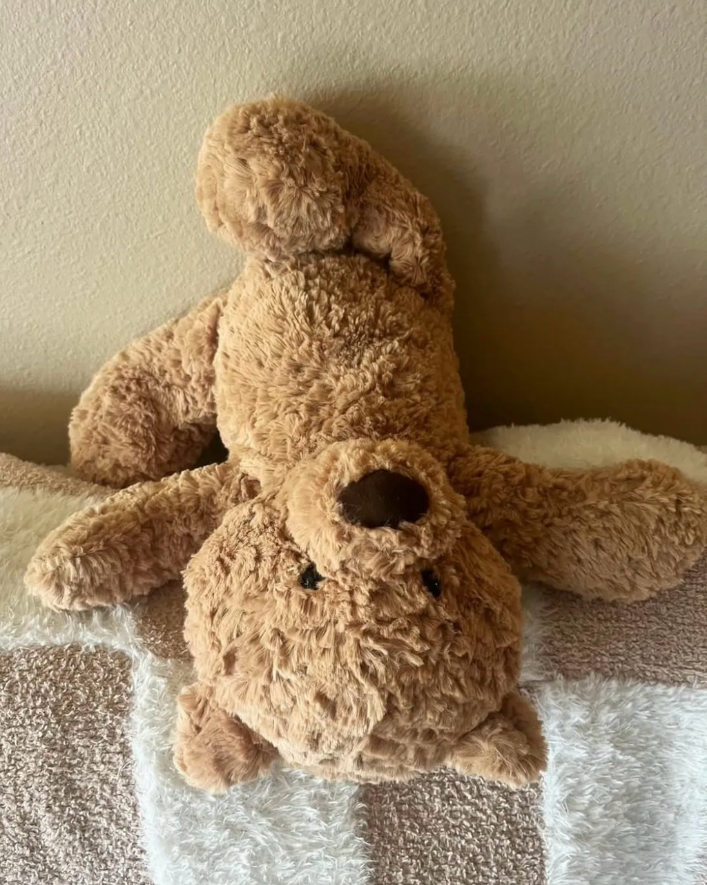 Jisoo同款JELLYCAT Bumbly Bear 笨笨熊 毛絨 娃娃 玩偶 擺件