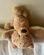 Jisoo同款JELLYCAT Bumbly Bear 笨笨熊 毛絨 娃娃 玩偶 擺件