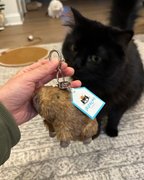 JELLYCAT 洛杉矯限定 巴賽羅熊 金標奶油邦尼兔 毛茅茅手套 圍巾熱可可 腡餅屋