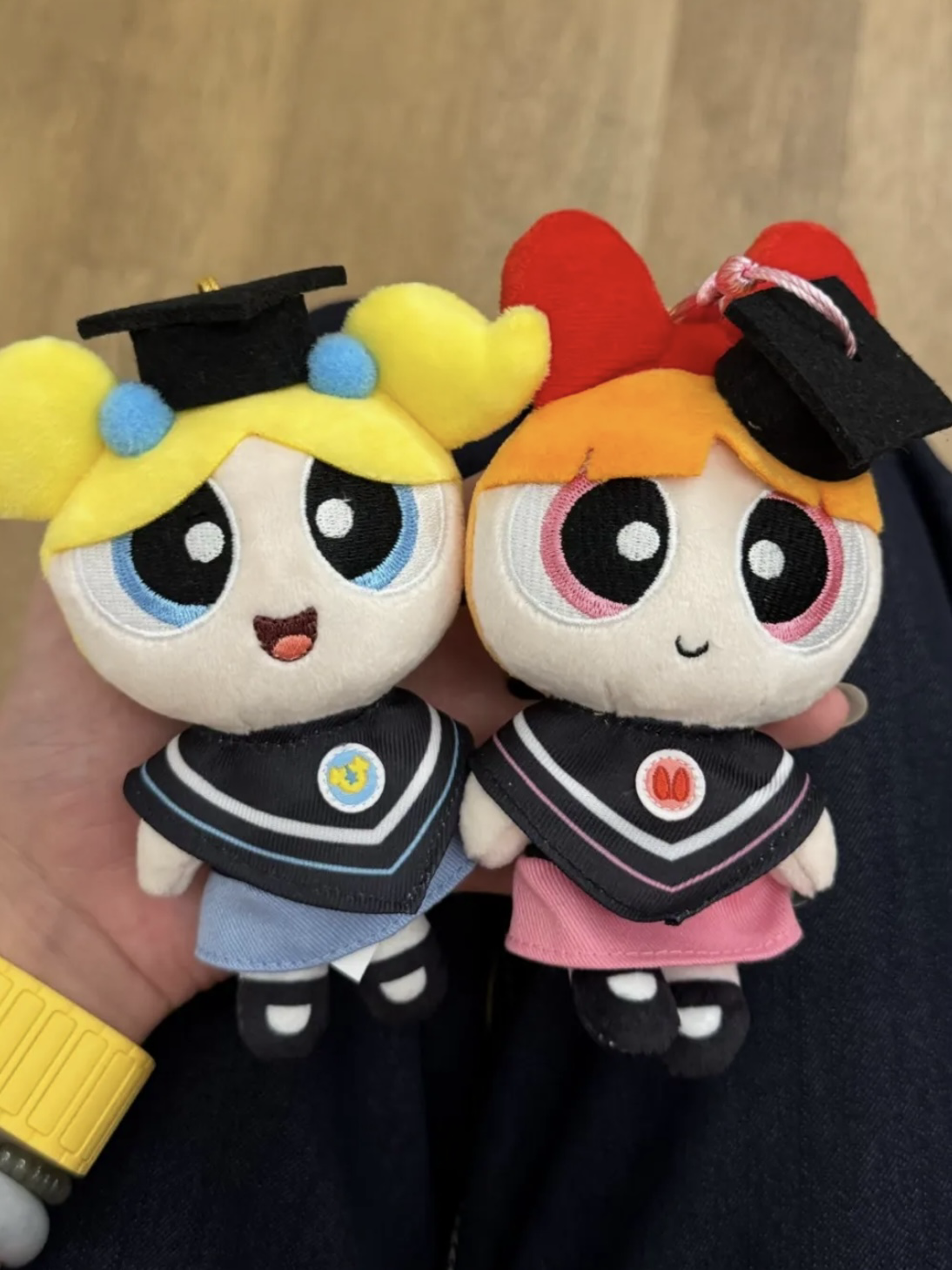 正版授權 飛天小女警 畢業 學士服 毛絨 吊飾