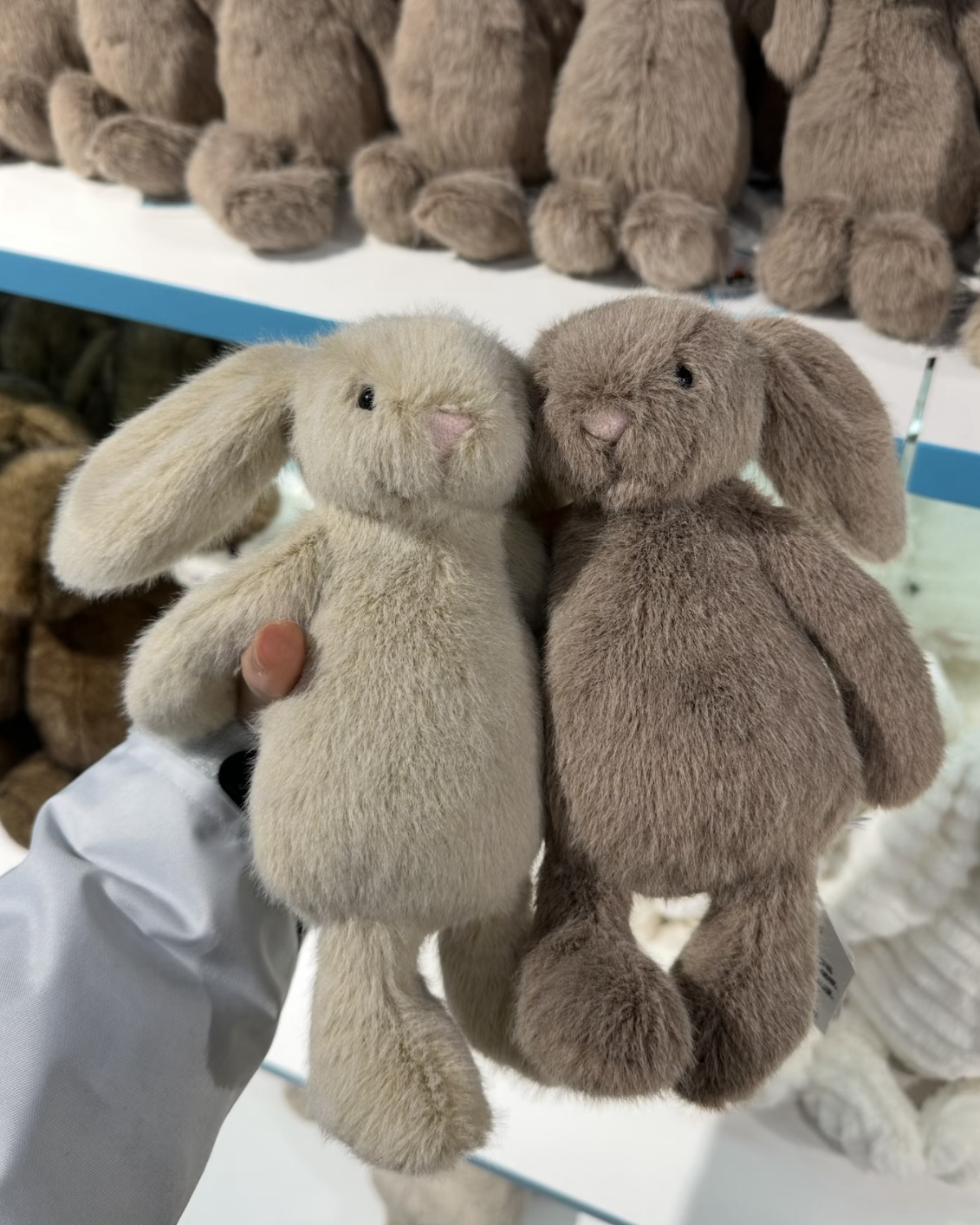 JELLYCAT 春季新款 Flufflet Bunny 邦尼兔 兔子 毛絨娃娃 共3色