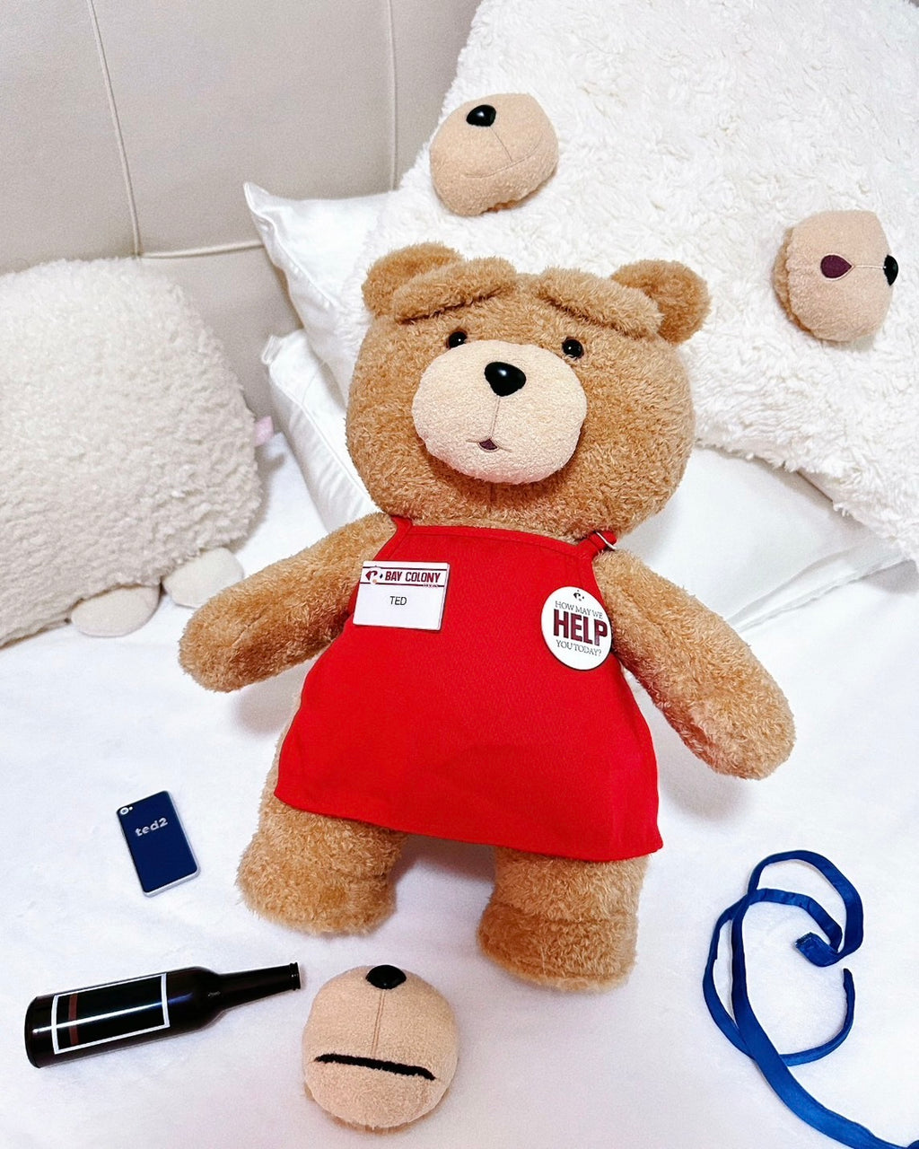 POPMART泡泡瑪特 TED2 熊麻吉 泰迪熊 可動絨毛玩偶 30公分