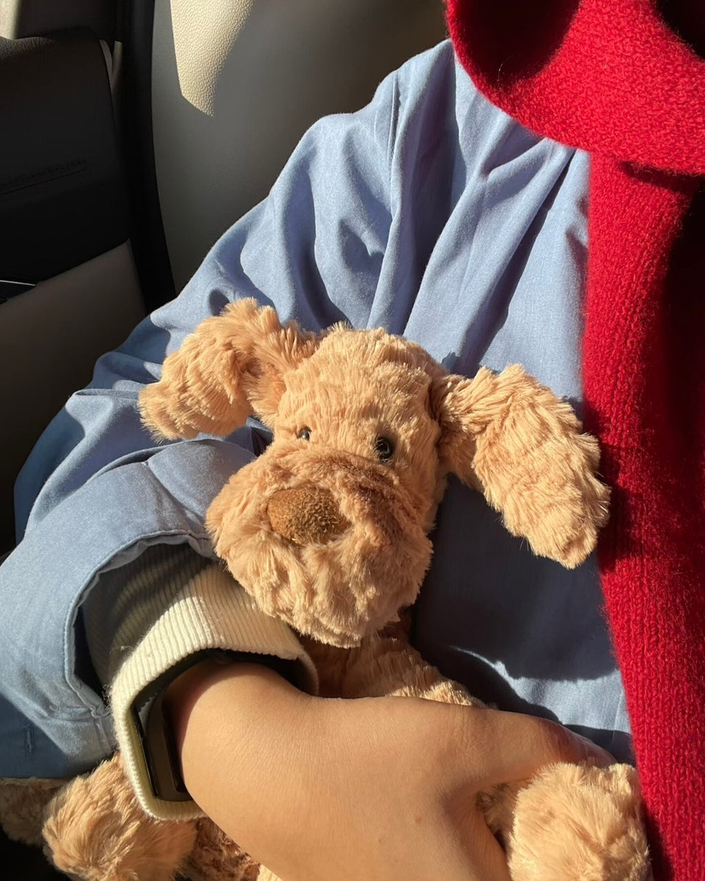 Jellycat 波浪毛 狗狗 狗勾 狗 動物 娃娃 毛絨玩偶