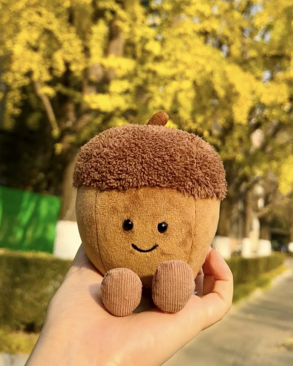 JELLYCAT 趣味植物系列 毛絨 玩偶 娃娃 共3款