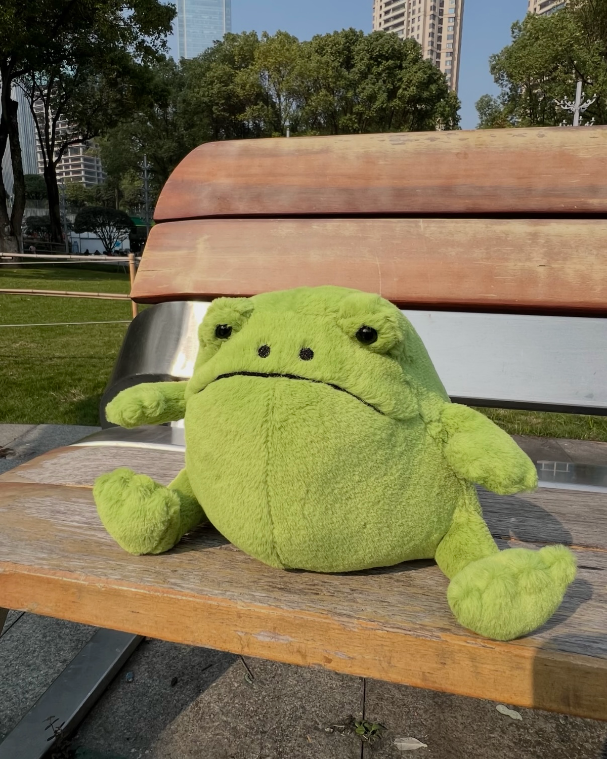 JELLYCAT Ricky Rain Frog 雨蛙 青蛙 瑞奇 毛絨 娃娃 玩偶