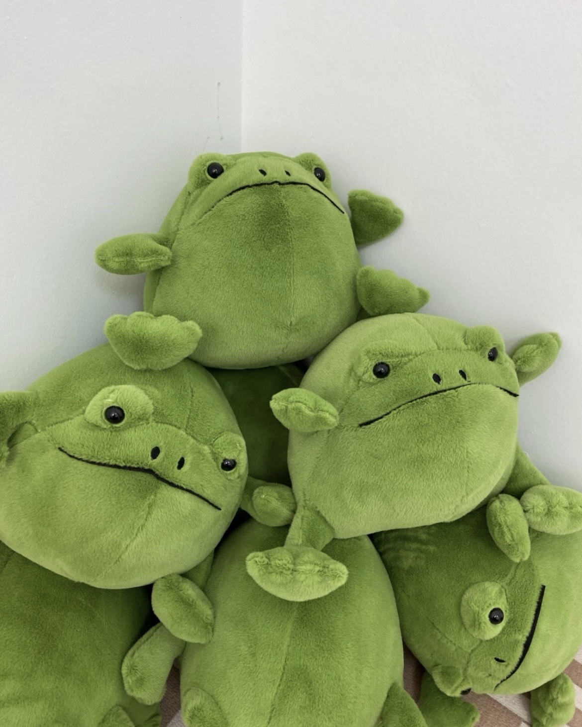 JELLYCAT Ricky Rain Frog 雨蛙 青蛙 瑞奇 毛絨 娃娃 玩偶