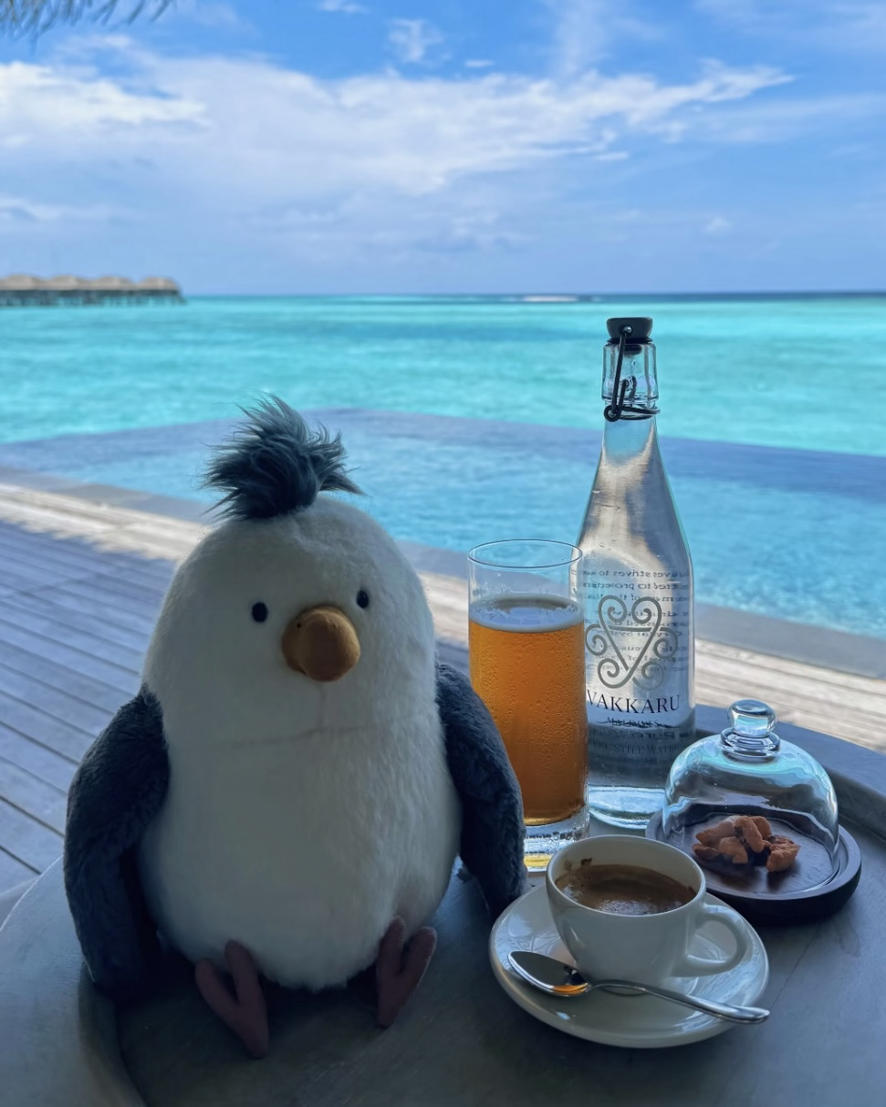 JELLYCAT Chip Seagull 奇普海鷗 毛絨 玩偶 娃娃