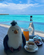 JELLYCAT Chip Seagull 奇普海鷗 毛絨 玩偶 娃娃