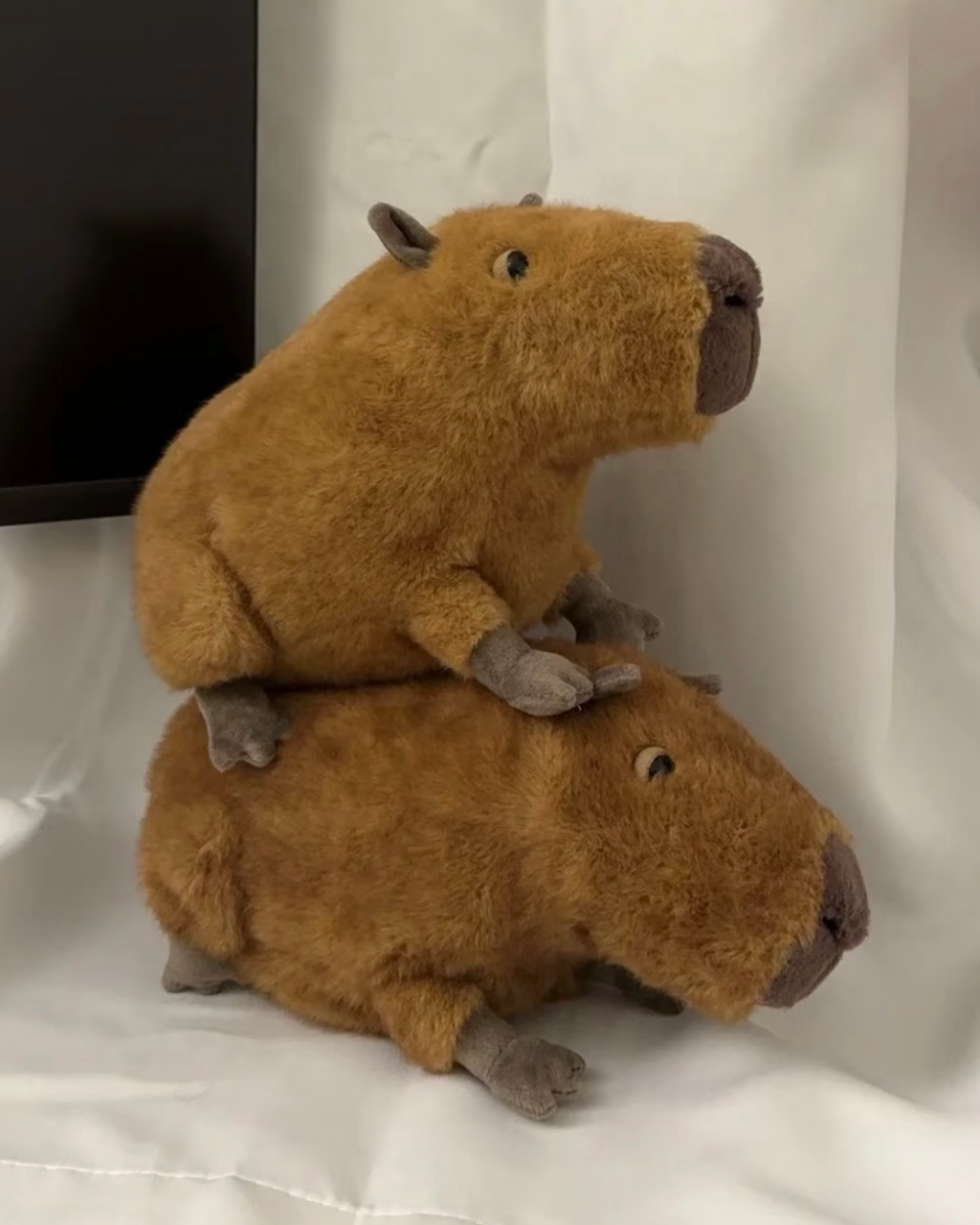 JELLYCAT 洛杉矯限定 巴賽羅熊 金標奶油邦尼兔 毛茅茅手套 圍巾熱可可 腡餅屋