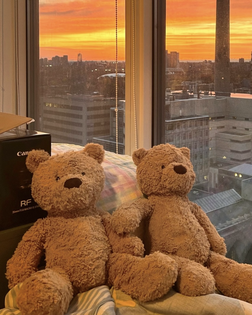 Jisoo同款JELLYCAT Bumbly Bear 笨笨熊 毛絨 娃娃 玩偶 擺件
