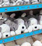 限量接單Jellycat 牧羊犬 TUMBLE 35cm