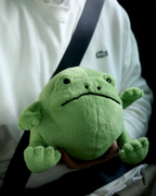 JELLYCAT Ricky Rain Frog 雨蛙 青蛙 瑞奇 毛絨 娃娃 玩偶