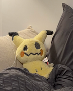 POKÉMON 寶可夢 鬆軟抱抱系列 毛絨 娃娃 共25款
