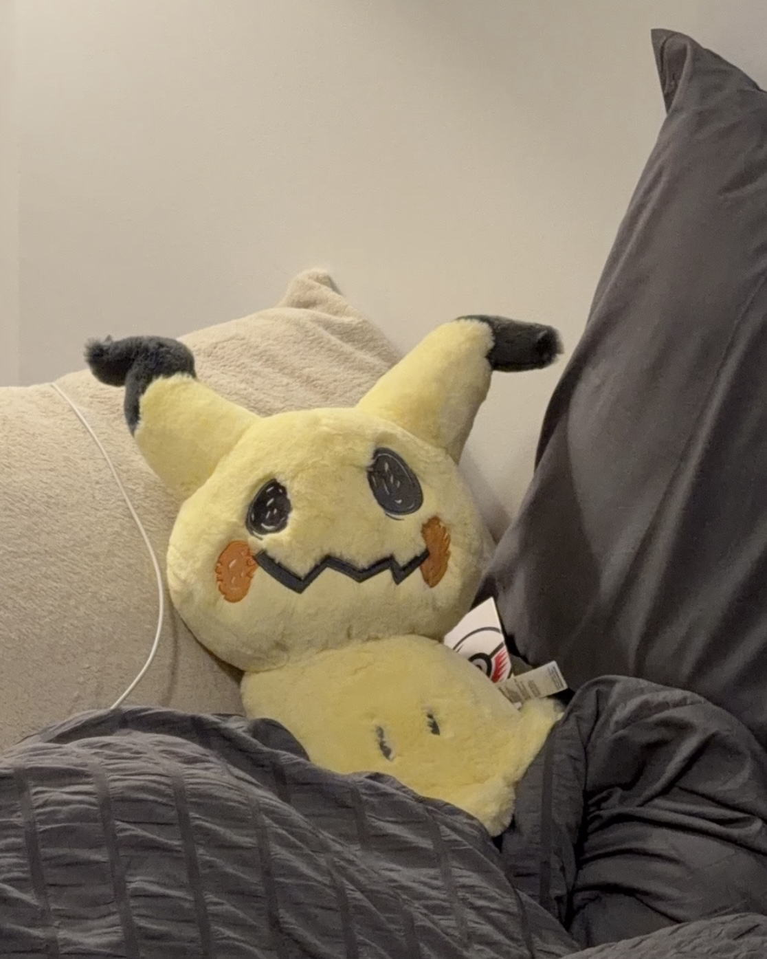 POKÉMON 寶可夢 鬆軟抱抱系列 毛絨 娃娃 共25款