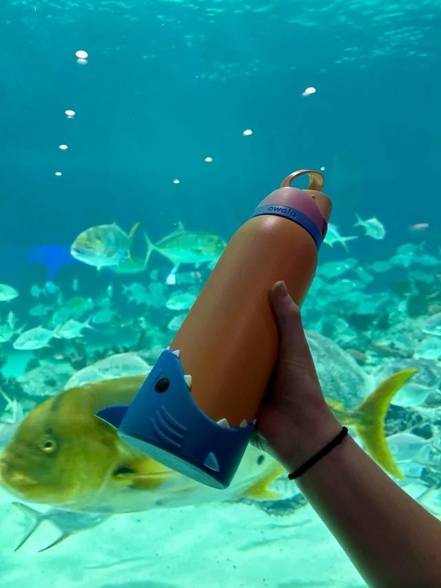 SiliSuit Shark Bait Boot 鲨魚 矽膠 水壺底座保護套 水瓶套 5色