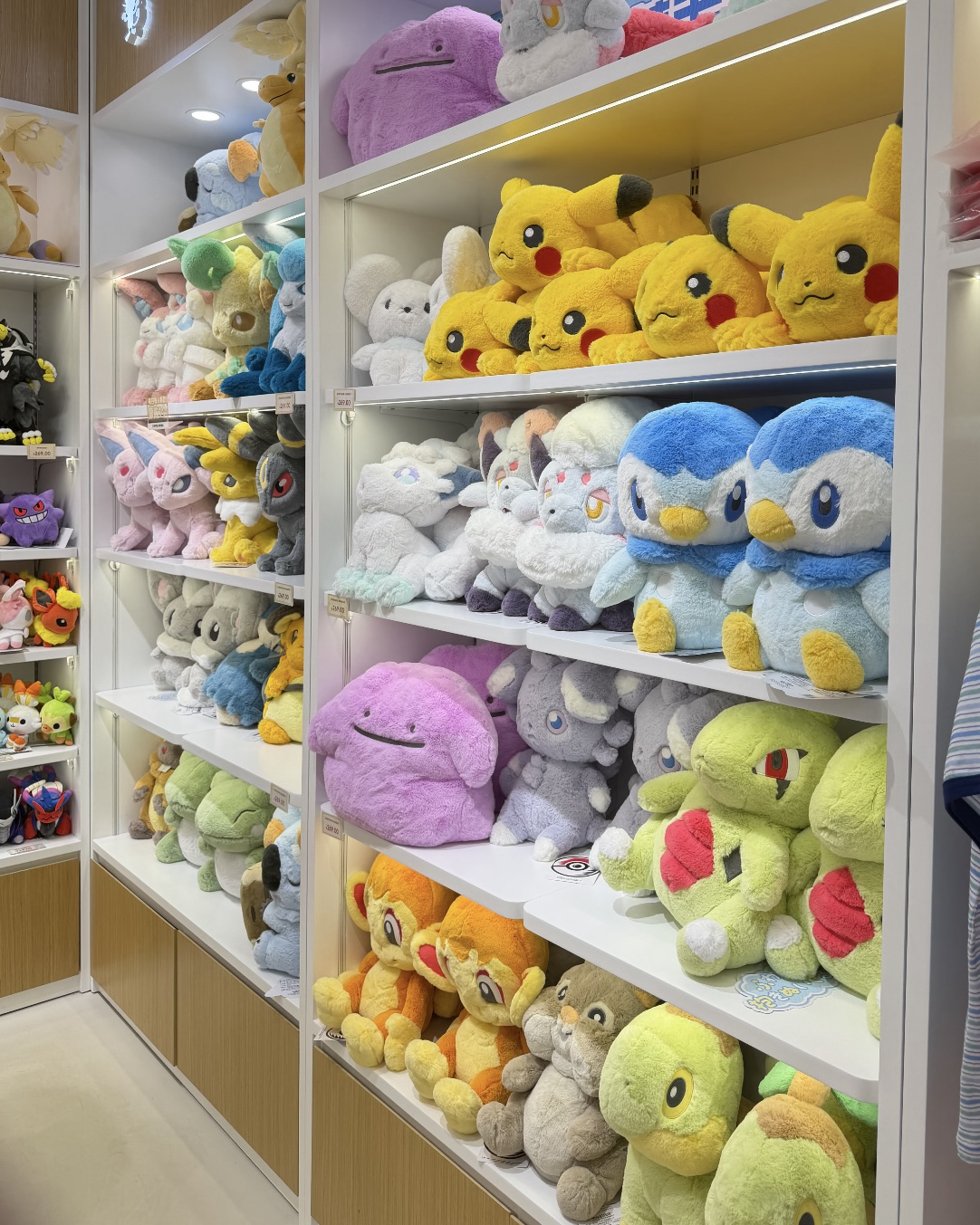 POKÉMON 寶可夢 鬆軟抱抱系列 毛絨 娃娃 共25款