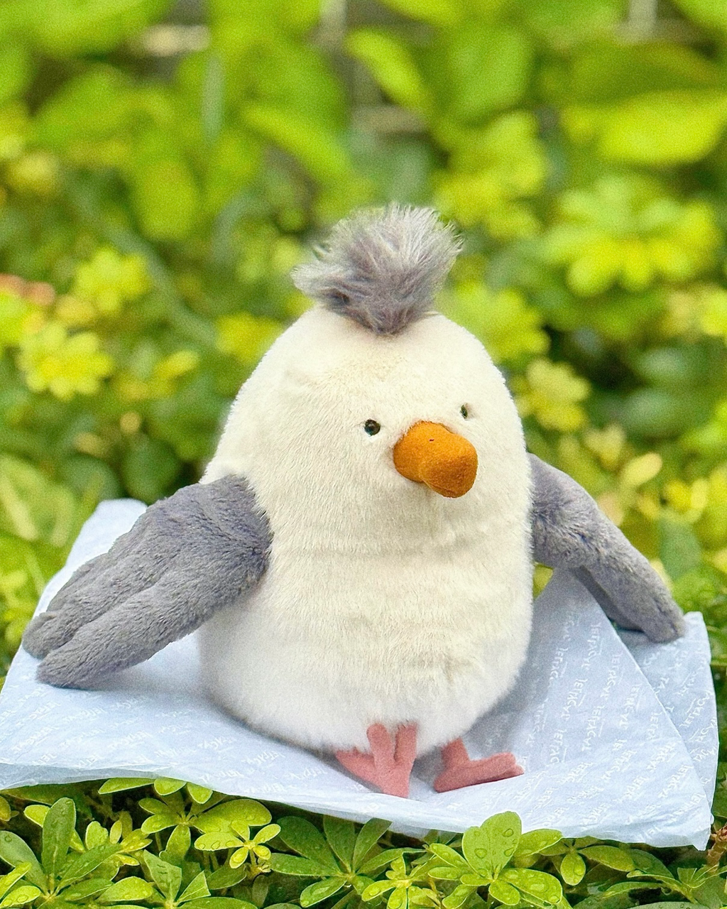 JELLYCAT Chip Seagull 奇普海鷗 毛絨 玩偶 娃娃
