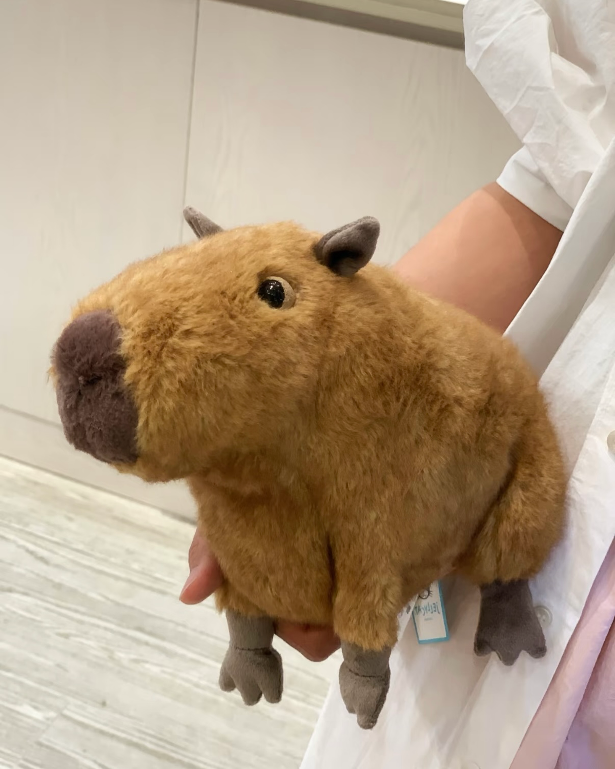 JELLYCAT 洛杉矯限定 巴賽羅熊 金標奶油邦尼兔 毛茅茅手套 圍巾熱可可 腡餅屋