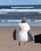 JELLYCAT Chip Seagull 奇普海鷗 毛絨 玩偶 娃娃