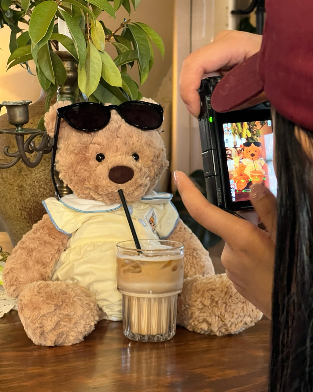 Jisoo同款JELLYCAT Bumbly Bear 笨笨熊 毛絨 娃娃 玩偶 擺件