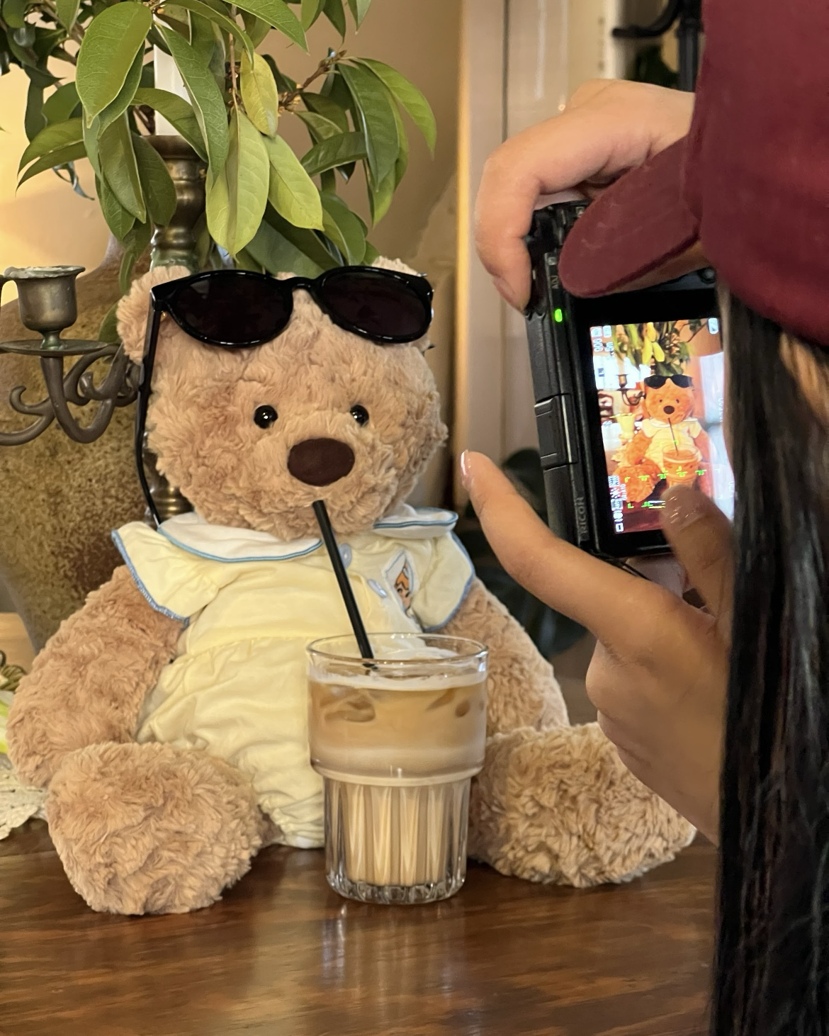 Jisoo同款JELLYCAT Bumbly Bear 笨笨熊 毛絨 娃娃 玩偶 擺件