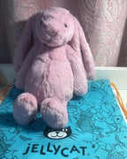 限量接單Jellycat 害羞粉色 鬱金香 邦尼免 31cm