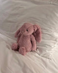 限量接單Jellycat 害羞粉色 鬱金香 邦尼免 31cm