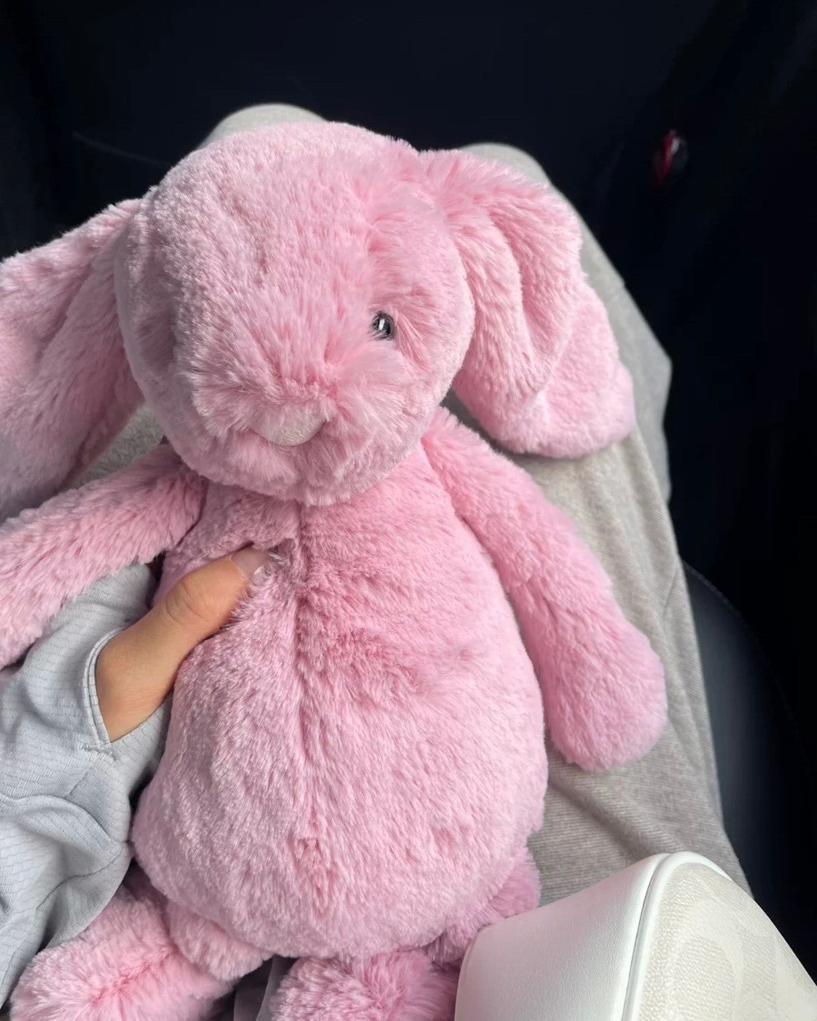限量接單Jellycat 害羞粉色 鬱金香 邦尼免 31cm