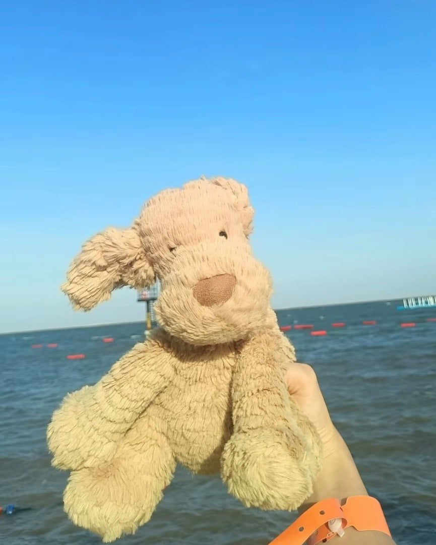 Jellycat 波浪毛 狗狗 狗勾 狗 動物 娃娃 毛絨玩偶