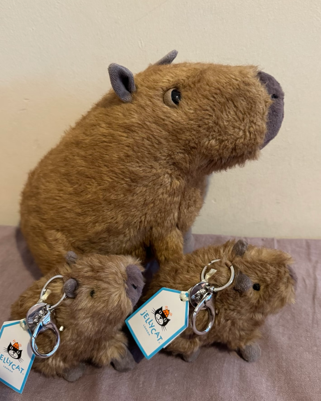 JELLYCAT 洛杉矯限定 巴賽羅熊 金標奶油邦尼兔 毛茅茅手套 圍巾熱可可 腡餅屋