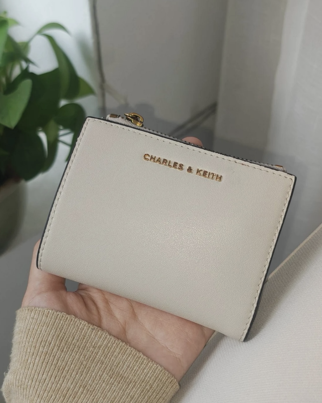 CHARLES & KEITH 小CK 象牙白 巧克力棕 拉鏈短夾 錢包 CK6-10680907