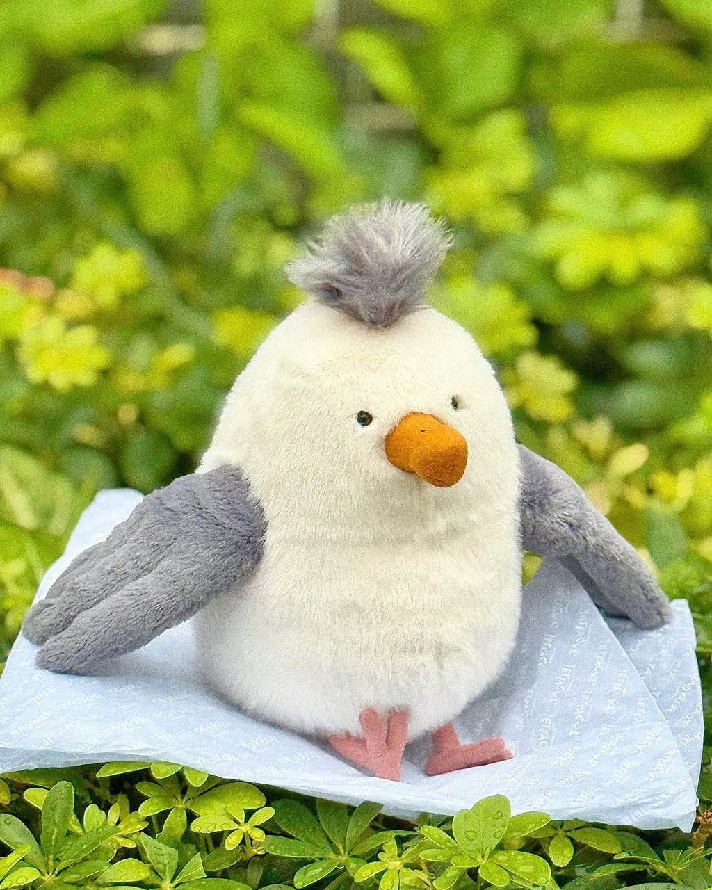 JELLYCAT Chip Seagull 奇普海鷗 毛絨 玩偶 CHP3SG