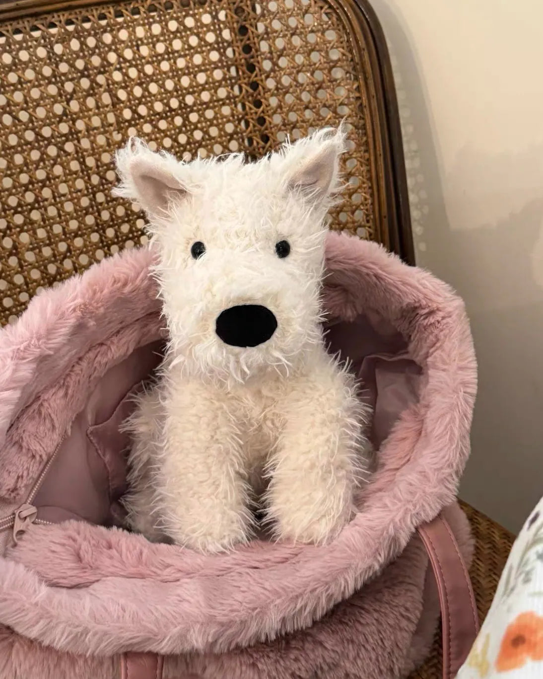 JELLYCAT 羅素桐梗 小狗 娃娃 MUN3SD