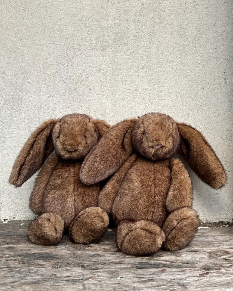 JELLYCAT 2026新款 霍普萊斯敦 Bunny 邦尼兔 BAS3BROW