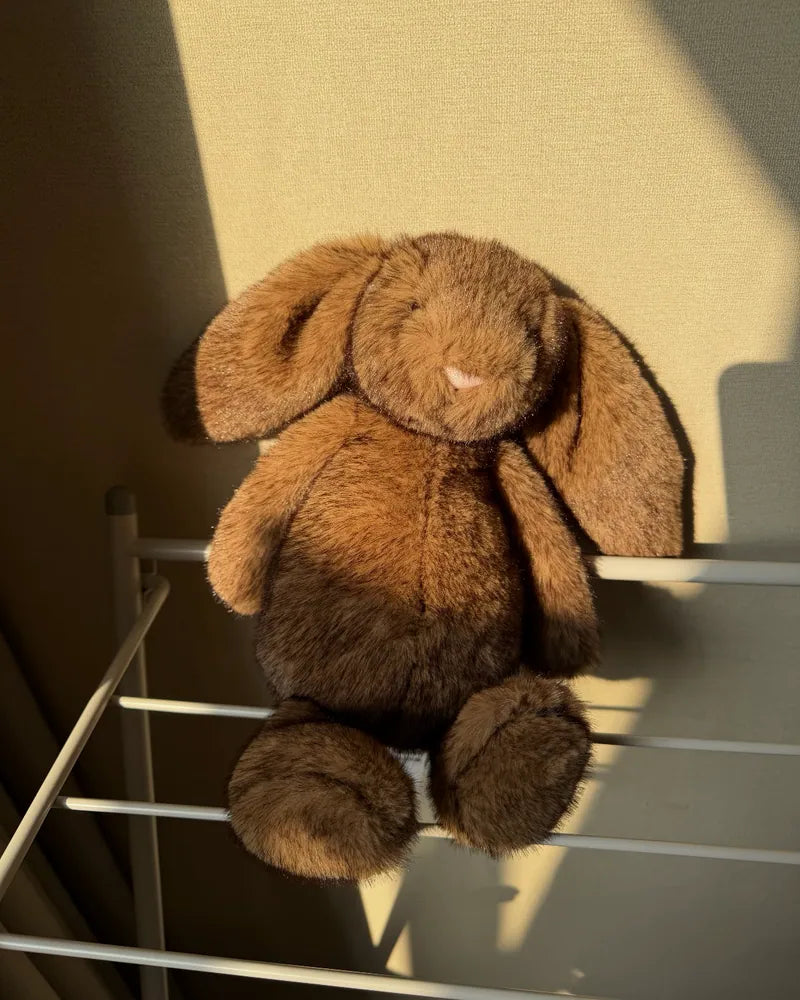 JELLYCAT 2026新款 霍普萊斯敦 Bunny 邦尼兔 BAS3BROW