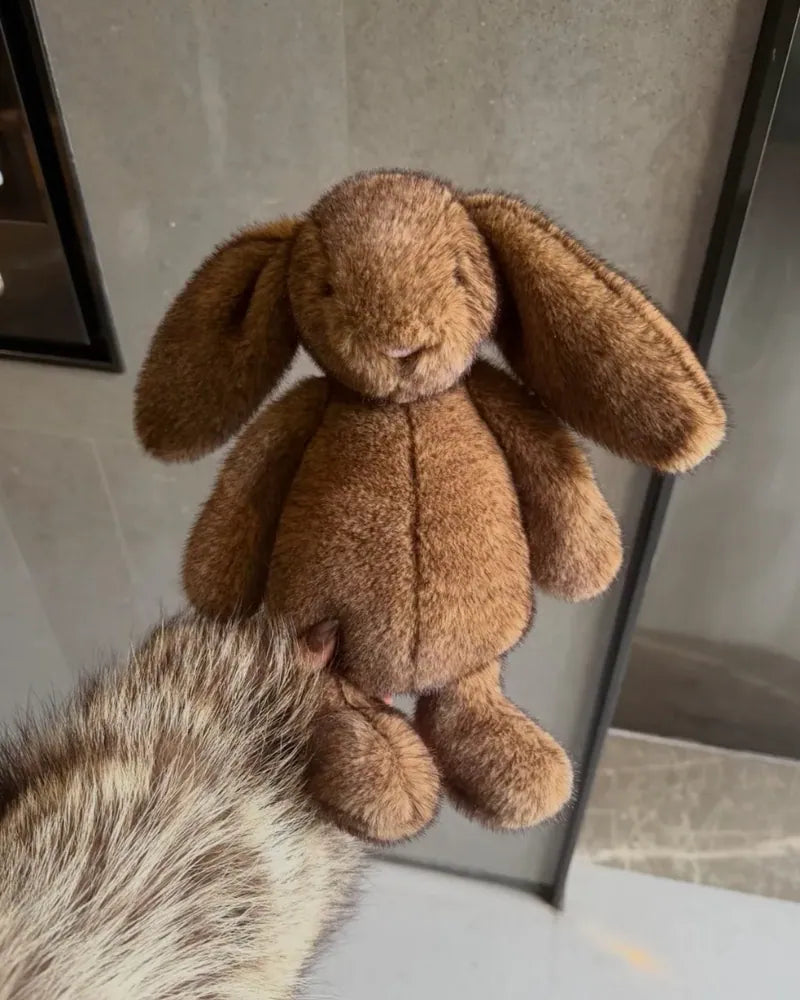 JELLYCAT 2026新款 霍普萊斯敦 Bunny 邦尼兔 BAS3BROW