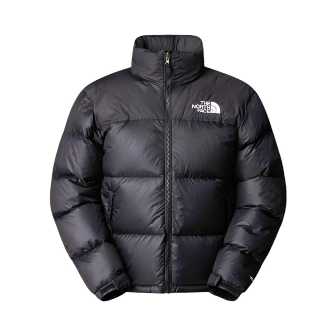 THE NORTH FACE 羽絨外套 700D 潮流穿搭款 黑色 NF0A3C8DGOE（現貨）
