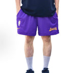 Nike NBA 網眼短褲 湖人隊 紫色 197596230864（現貨）